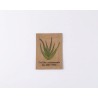100 Toallitas de aloe vera con papel kraft